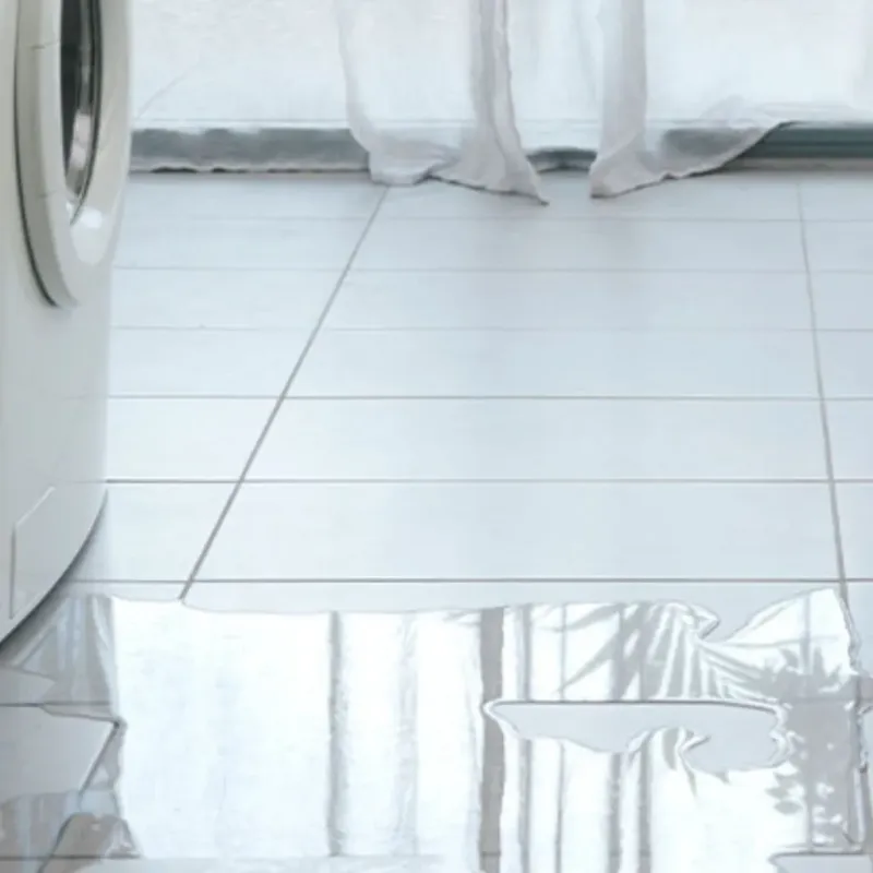 Appliance Leak Cleanup in Scott County, KY