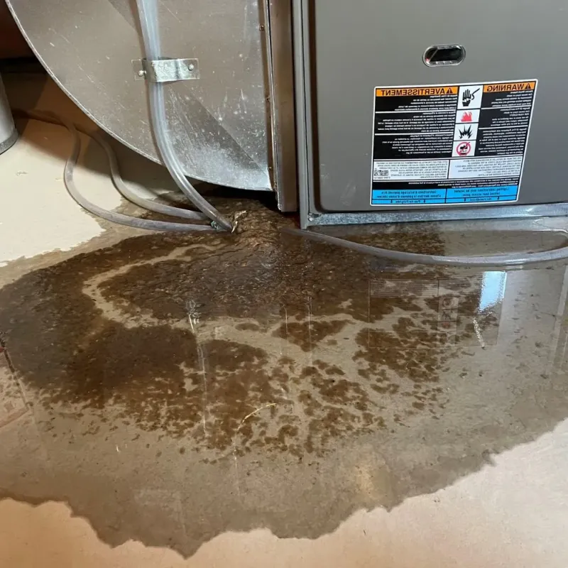 Pipe Burst and Leak Restoration in Scott County, KY