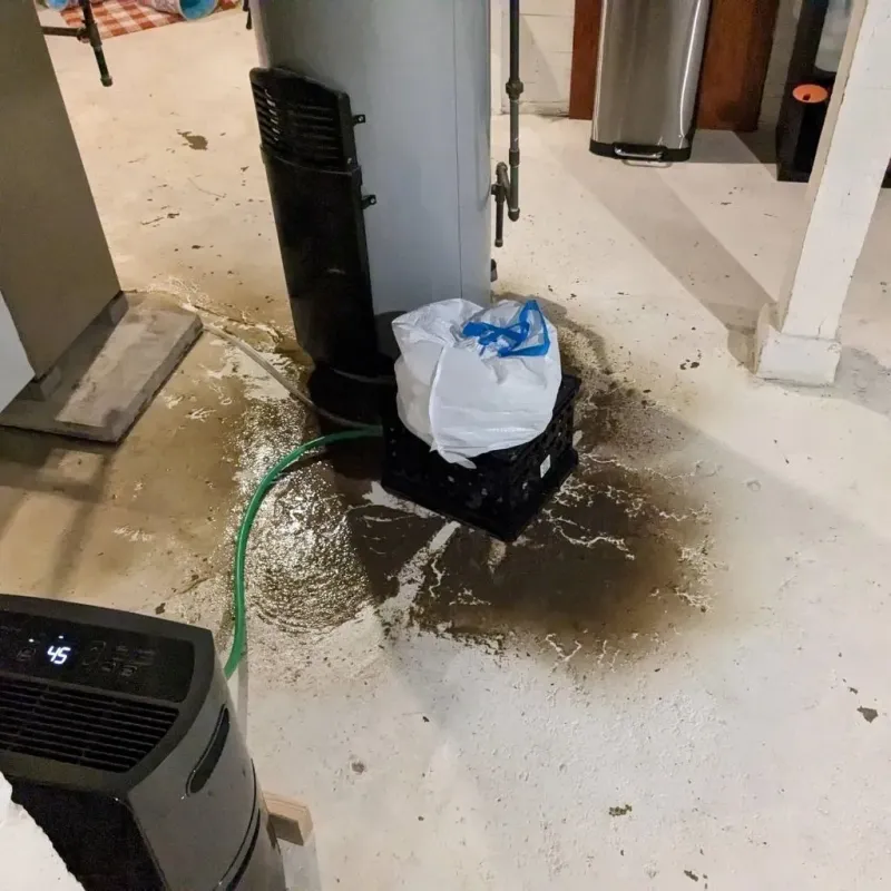 Sewage Backup Cleanup Service in Scott County, KY
